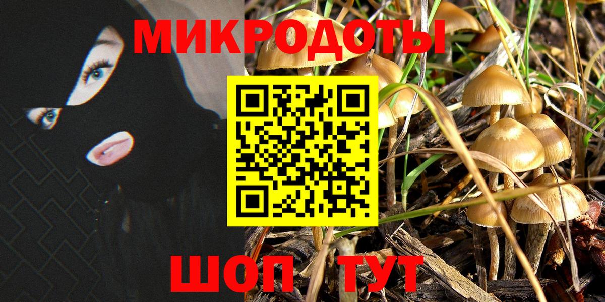 Галлюциногенные грибы Psilocybe Нижнекамск