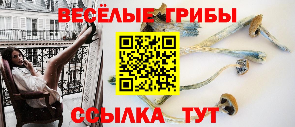 Нижнекамск  Псилоцибиновые грибы GOLDEN TEACHER  Галлюциногенные грибы Psilocybe  Вход с VPN 